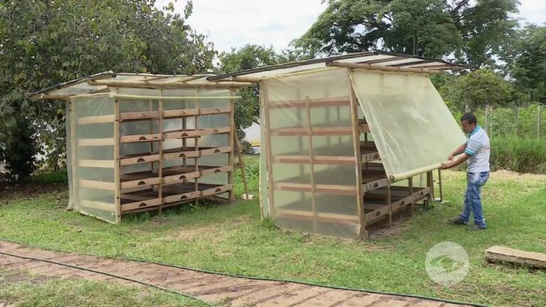 Soluciones biodegradables para cerramientos de invierno